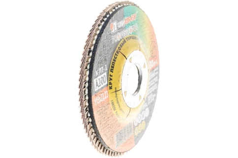 Круг лепестковый плоский A 120 КЛТ1 Луга фото 3